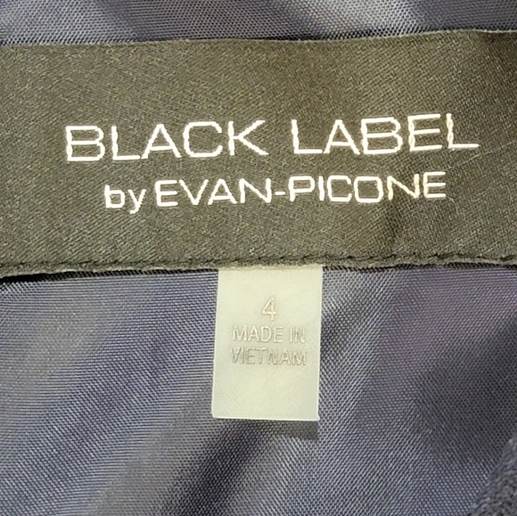 BLACK LABEL BY EVAN PICONE Women's Size 4 Sleeveless Lined Dress w/Front… - Picture 7 of 13